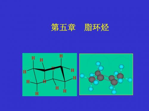 第五章  脂环烃