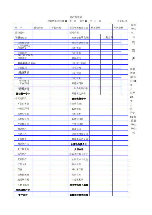 资产负债表利润表空白表格