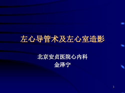 心室造影PPT参考幻灯片