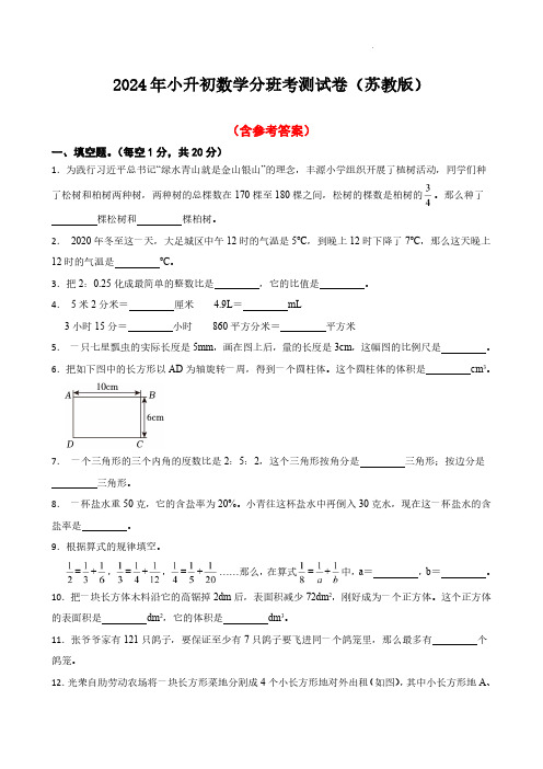 2024年苏教版小升初数学分班考测试卷(含参考答案)