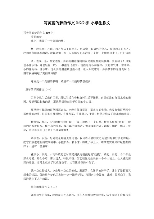 写美丽的梦的作文300字_小学生作文