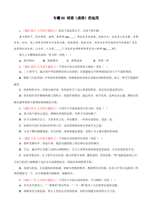 词语(成语)的运用(专题过关)-九年级语文上学期期中期末考点大串讲(部编版)(原卷版)