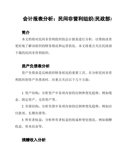 会计报表分析：民间非营利组织(民政部)