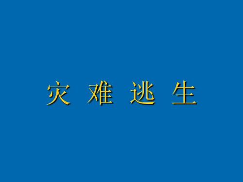 灾难逃生 课件综合实践九年级