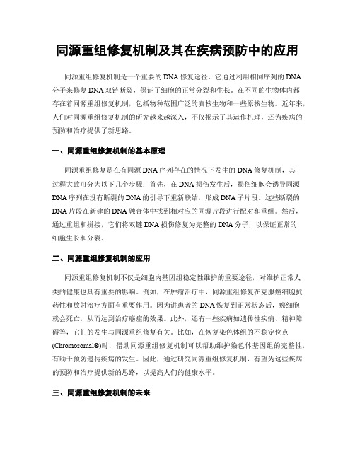 同源重组修复机制及其在疾病预防中的应用