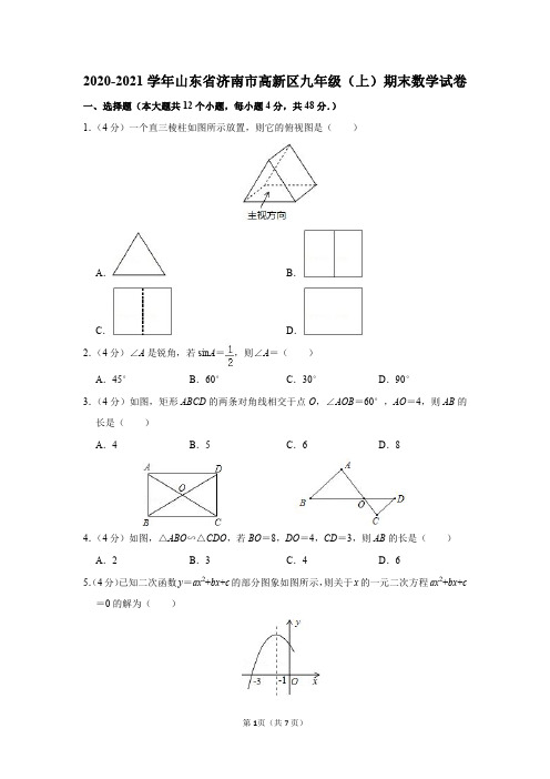 2020-2021学年山东省济南市高新区九年级(上)期末数学试卷及参考答案