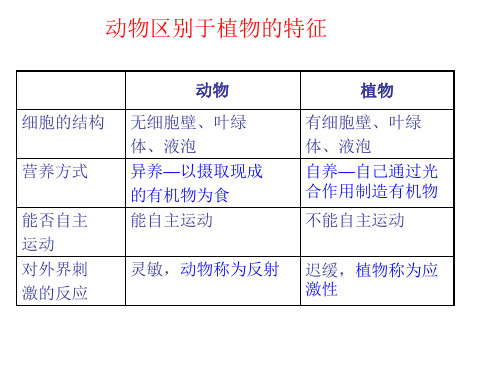 2016年新人教版八年级生物上册 第五单元 第一章第一节_腔肠动物和扁形动物 课件