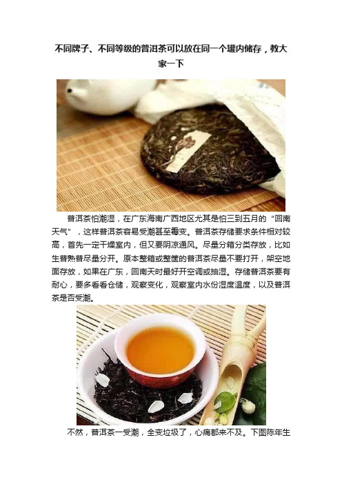 不同牌子、不同等级的普洱茶可以放在同一个罐内储存，教大家一下