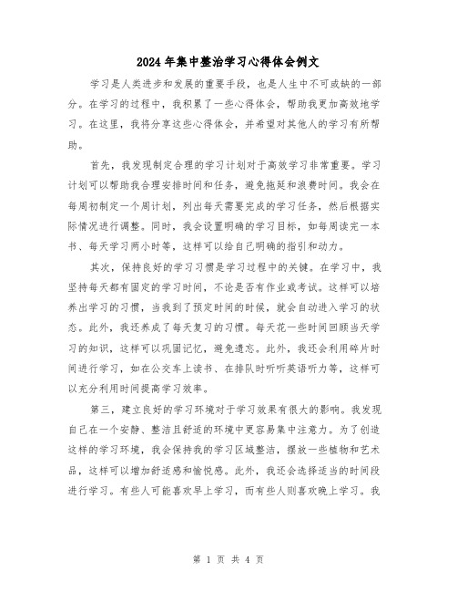 2024年集中整治学习心得体会例文(2篇)