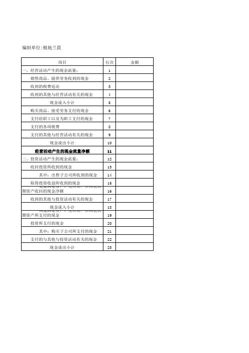 现金流量表模板