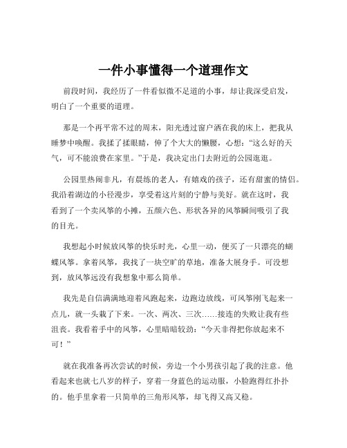 一件小事懂得一个道理作文