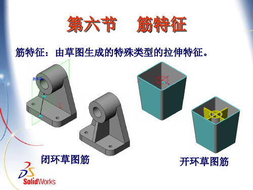 第三章 第六节  筋特征