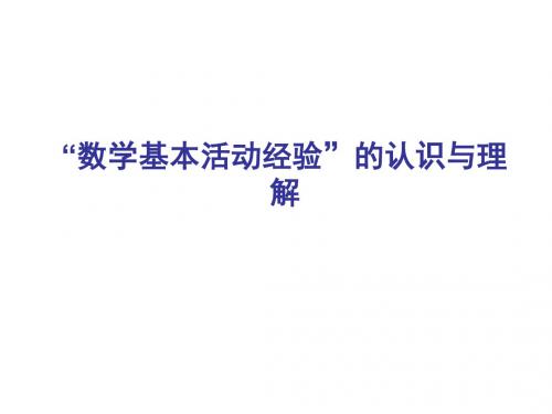 数学基本活动经验的认识与理解讲解