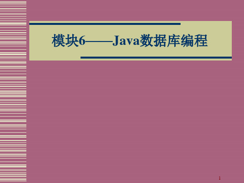 与数据库的连接及数据的基本操作ppt课件