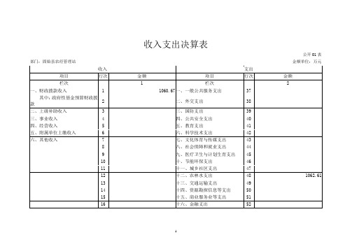 收入支出决算表