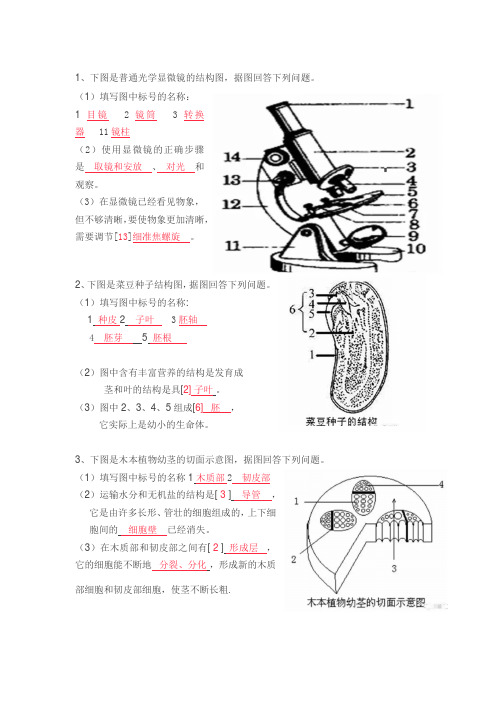 初中生物识图题