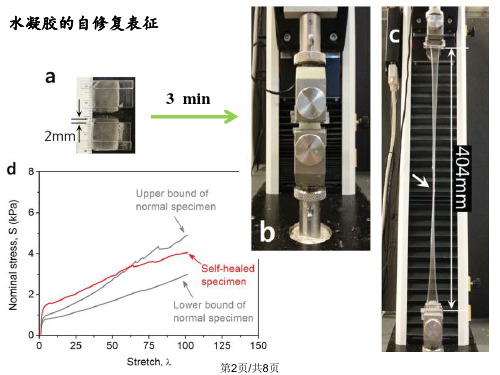 超强拉伸性能自修复水凝胶.pptx