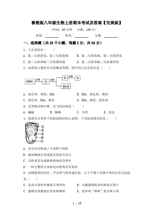 鲁教版八年级生物上册期末考试及答案【完美版】