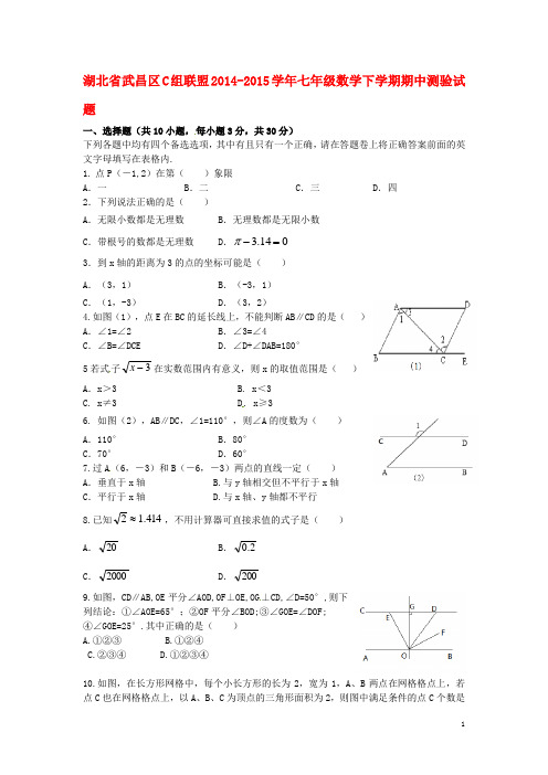 湖北省武昌区C组联盟七年级数学下期中测验试题.doc