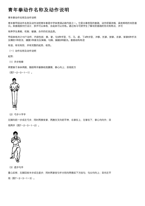 青年拳动作名称及动作说明