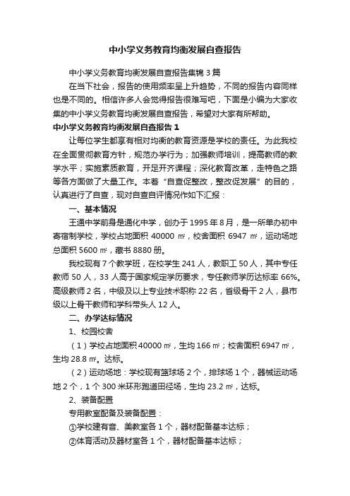 中小学义务教育均衡发展自查报告