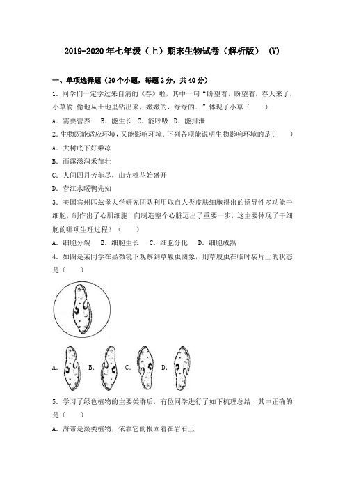 2019-2020年七年级(上)期末生物试卷(解析版) (V)