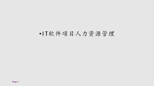 IT软件开发项目人力资源管理解读学习PPT教案