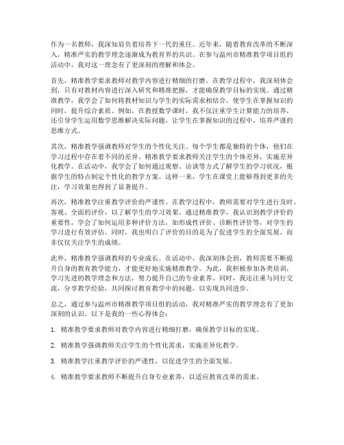 教师精准严实心得体会