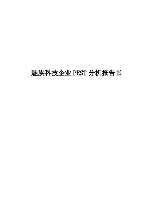 魅族科技企业PEST分析报告书【精品】