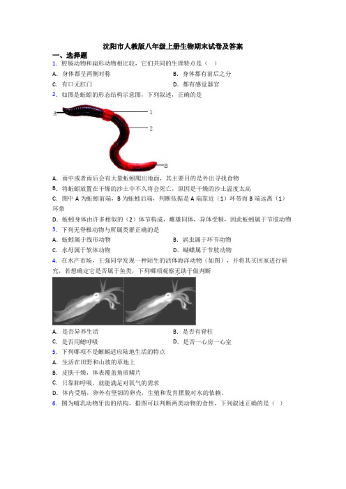 沈阳市人教版八年级上册生物期末试卷及答案