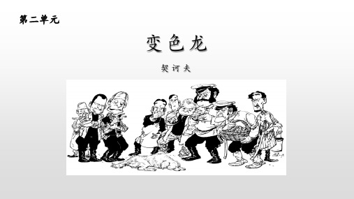 《变色龙》精品优质完整教学PPT课件(精选3篇)