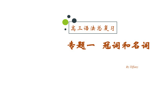 高考英语二轮复习专题一冠词和名词课件