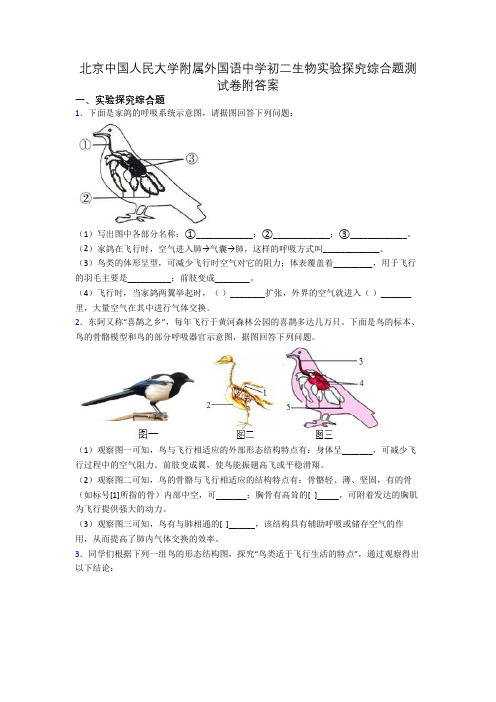 北京中国人民大学附属外国语中学初二生物实验探究综合题测试卷附答案