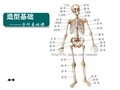 造型基础7躯干部分