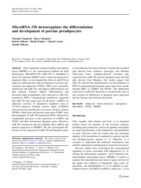 MicroRNA-33b downregulates the differentiation