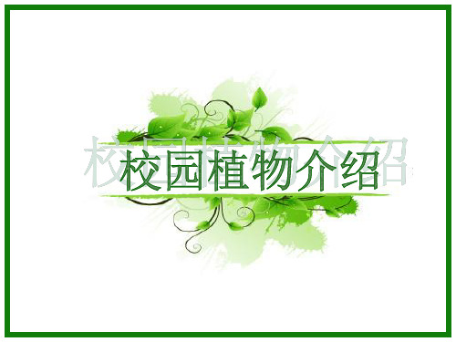 山西师范大学校园植物介绍