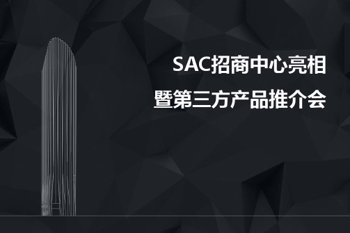 成都纯甲级写字楼SAC项目简介