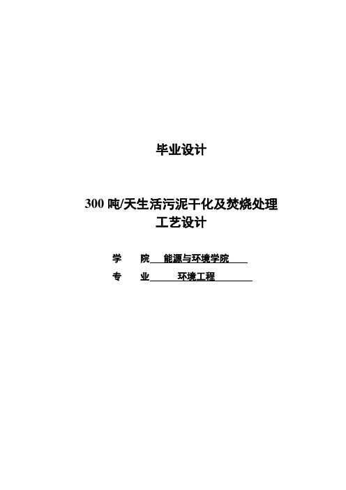 030吨天生活污泥干化及焚烧处理工艺设计