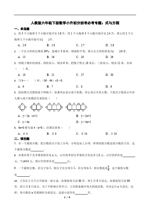 人教版六年级下册数学小升初分班考必考专题：式与方程