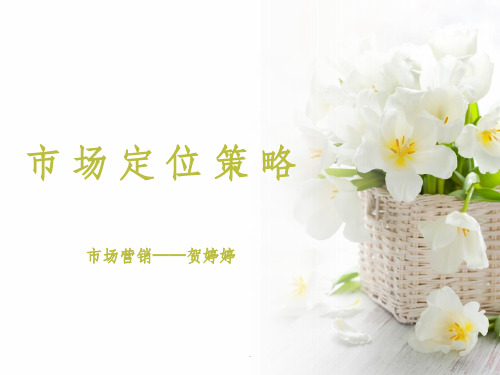 市场定位策略ppt课件