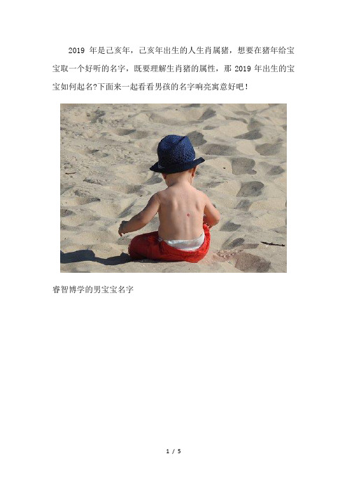 2019年男孩的名字响亮寓意好
