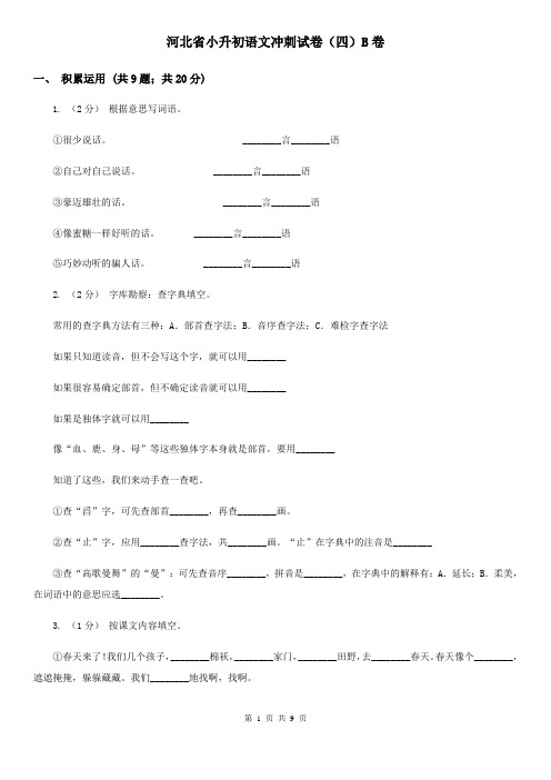 河北省小升初语文冲刺试卷(四)B卷