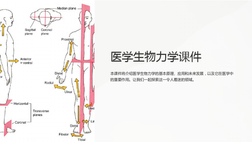 《医学生物力学课件》