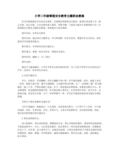 小学二年级寒假安全教育主题班会教案