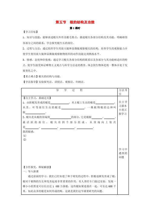 八年级生物上册 4.1.5 根的结构及功能导学案(新版)济南版