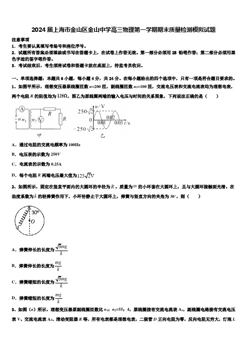 2024届上海市金山区金山中学高三物理第一学期期末质量检测模拟试题含解析