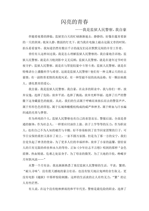 司法系统主题演讲比赛闪亮的青春