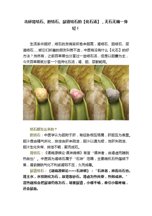 击碎肾结石、胆结石、尿道结石的【化石汤】，无石无痛一身轻！