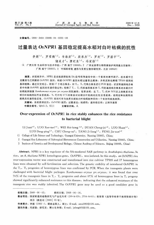 过量表达OsNPR1基因稳定提高水稻对白叶枯病的抗性