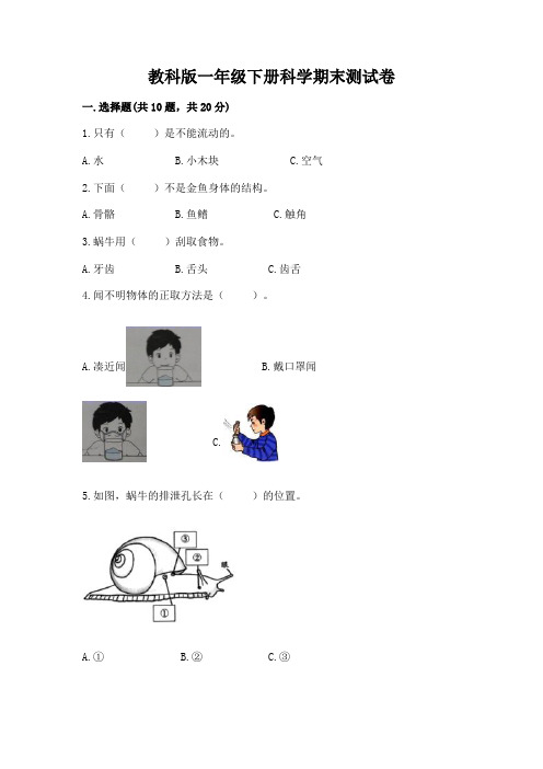 教科版一年级下册科学期末测试卷附参考答案ab卷